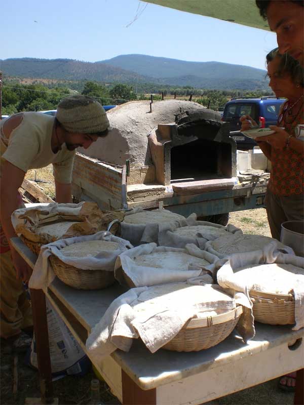 PACE, Produzione Alimentare Campo Estivo