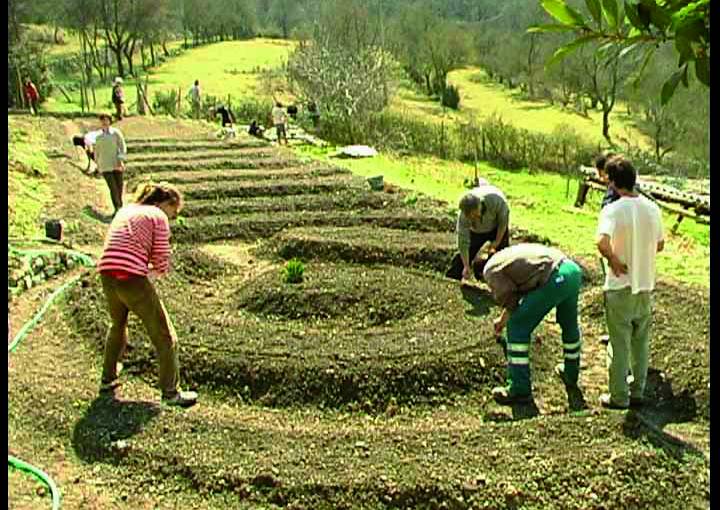 Sei mesi in un ecovillaggio in Spagna (Servizio Volontario Europeo)