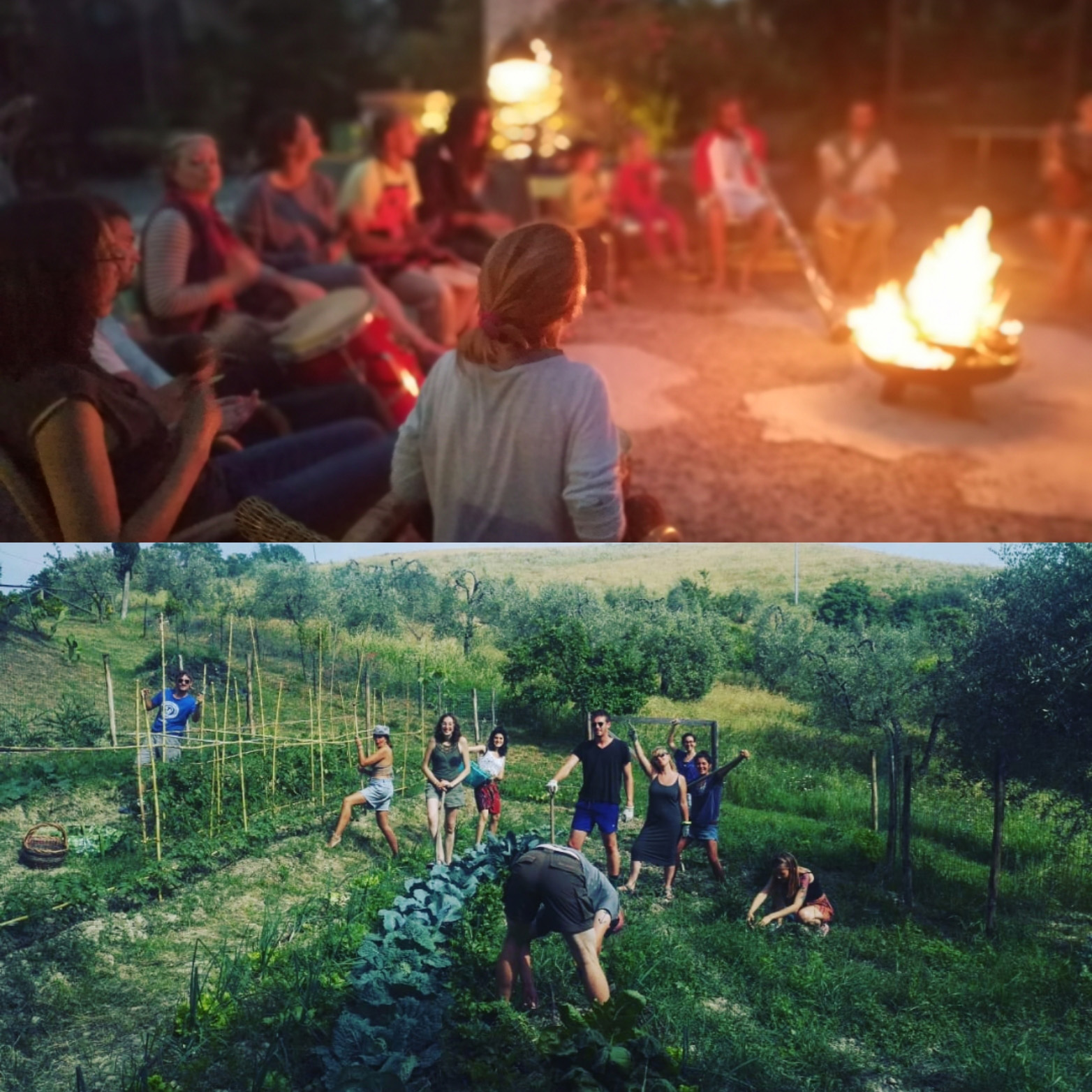 Incontro online tra ecovillaggi: aspetti emotivi e difficoltà nella relazione con i volontari in ecovillaggio