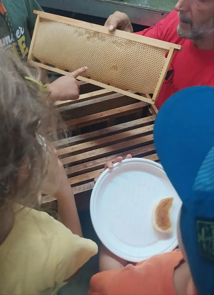 gowildfamilies2