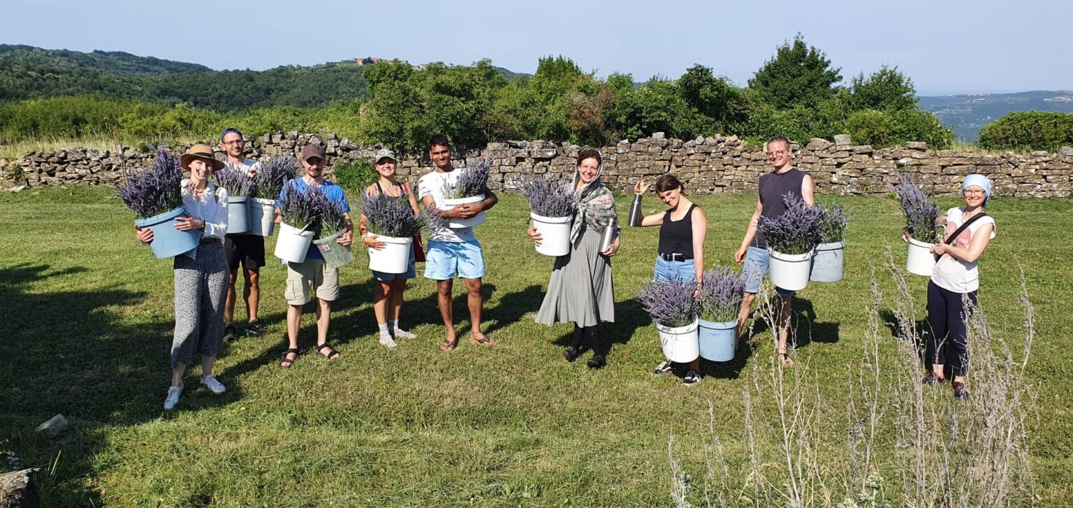 Progetto di VOLONTARIATO EUROPEO – Sunny Hills of Istria, Slovenia