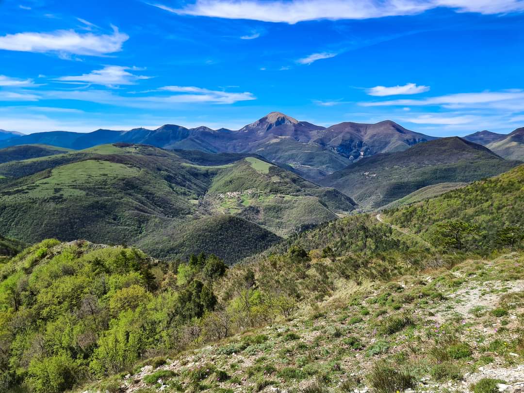 Tempo di Vivere – In cammino verso Sé: Presenza, Intuizione, Ispirazione